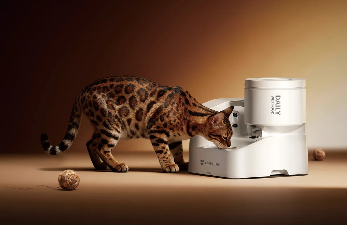 YUMSHARE DAILY FEAST Automatic Pet Wet Food Feeder in a home environment, illustrating convenient, hands-free wet food feeding for cats.