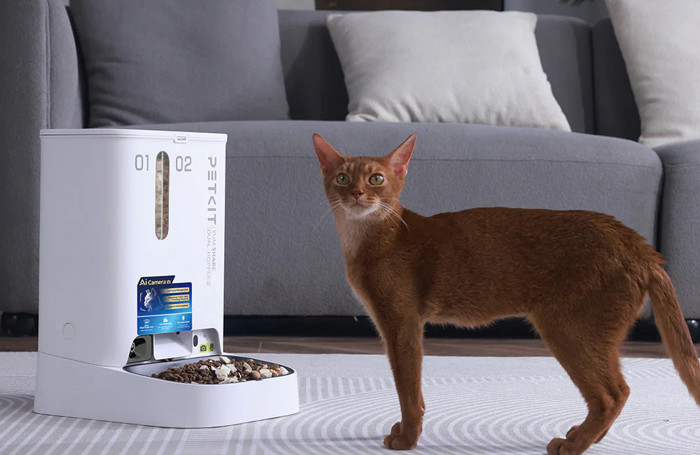 YUMSHARE DUAL-HOPPER 2 smart feeder displayed in a modern home setting