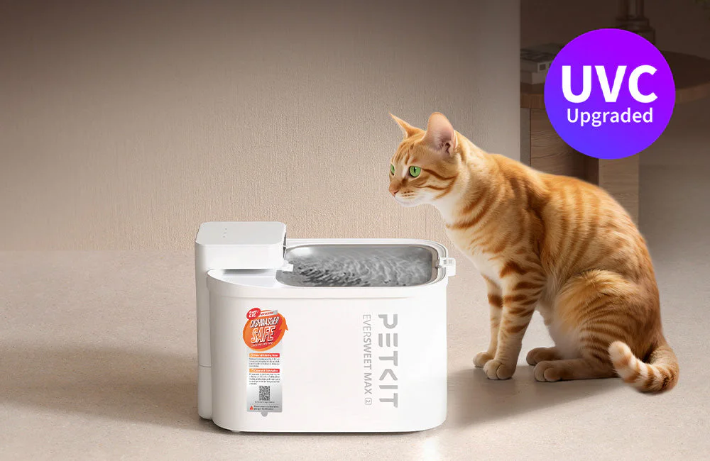 PETKIT EVERSWEET MAX 2 smart pet water fountain with modern home background