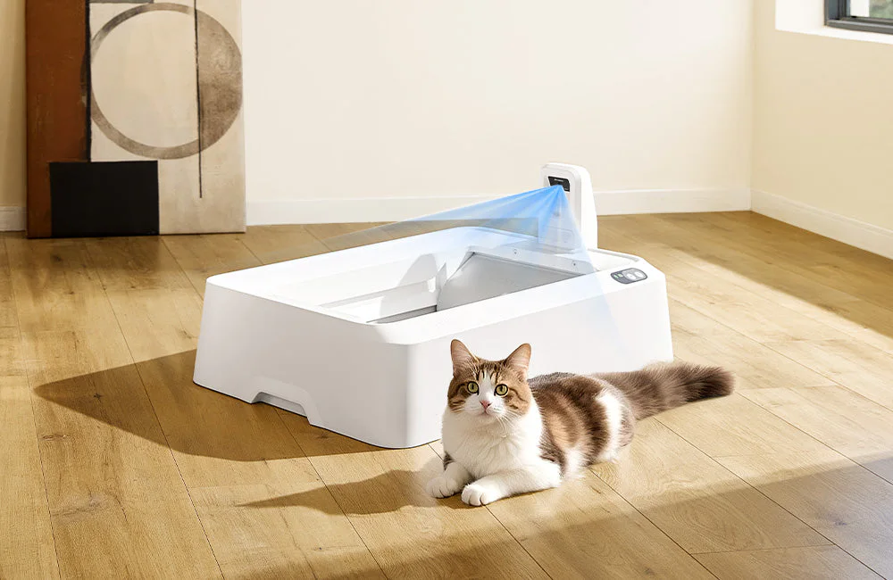 Petkit Purobot Crystal Duo