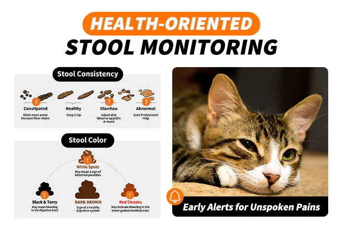 A cat feeling unwell, with an AI cat litter box detecting early health alerts through stool monitoring.