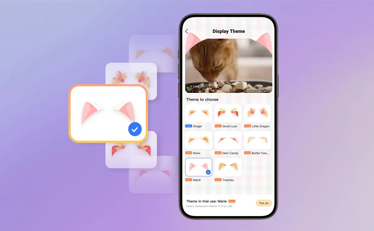 Customizable Theme Display