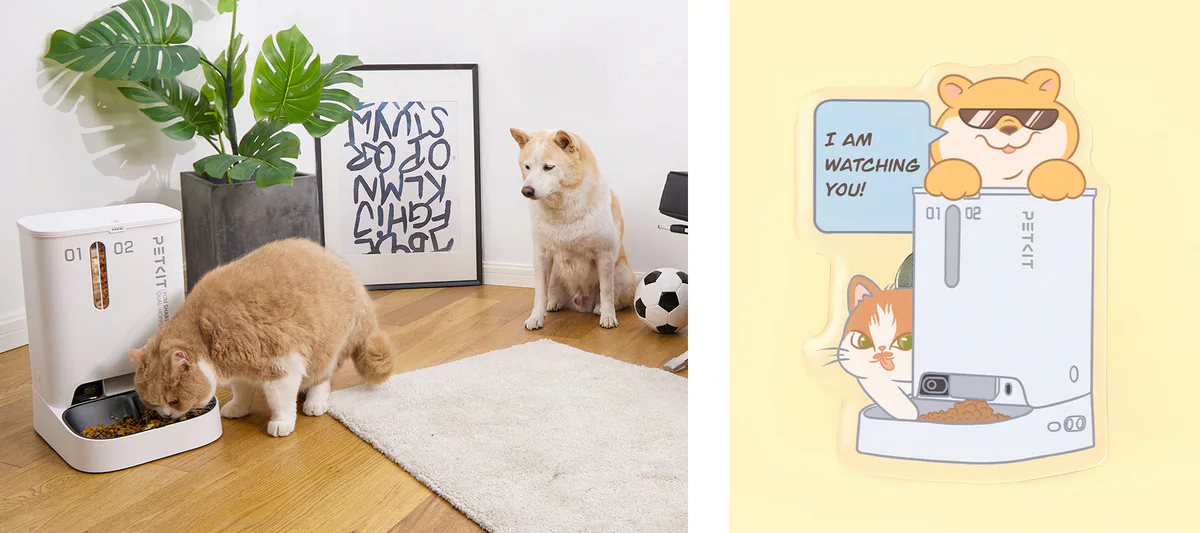 Miso, the Inspiration of YUMSHARE Smart Feeder with Camera