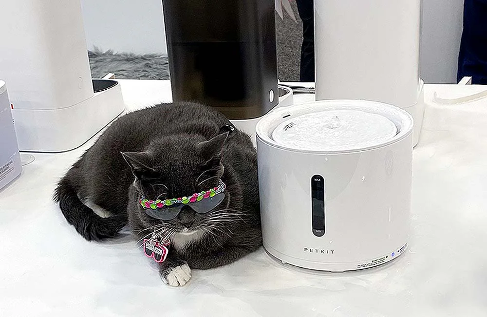 Petkit Smart Fountain