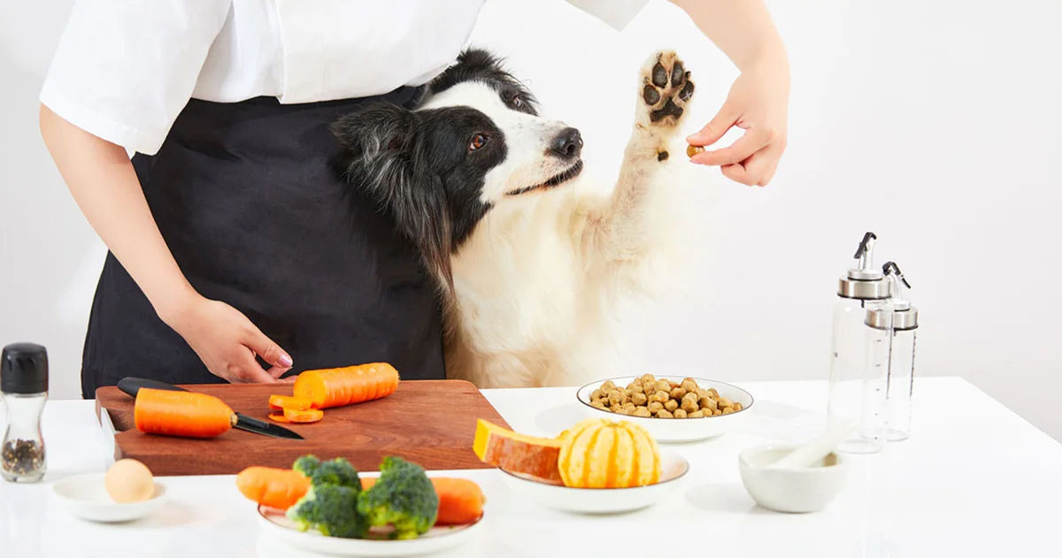 Petkit Home Salon, Dogs supplies
